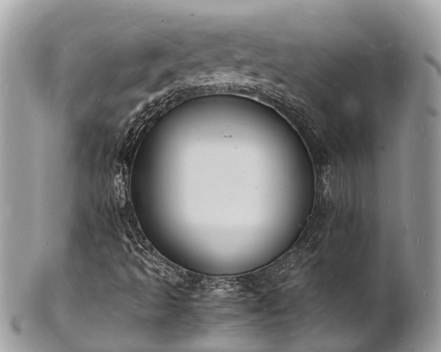 X0000100981493200807011431