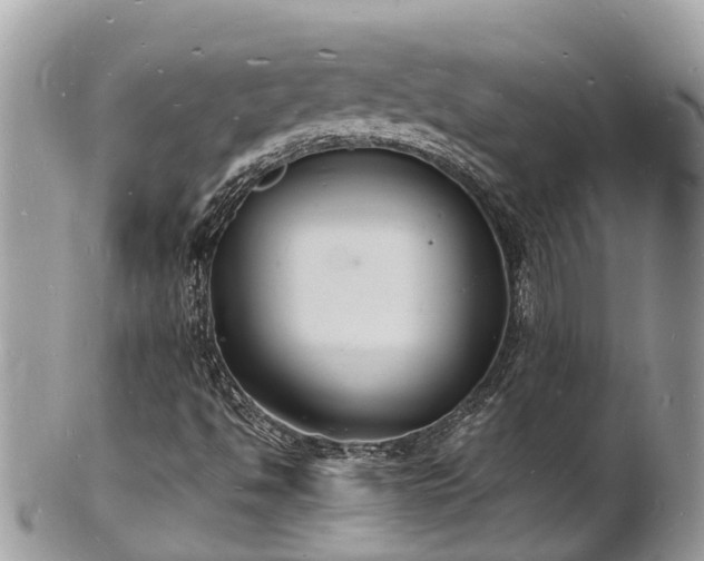 X0000100981494200807011431