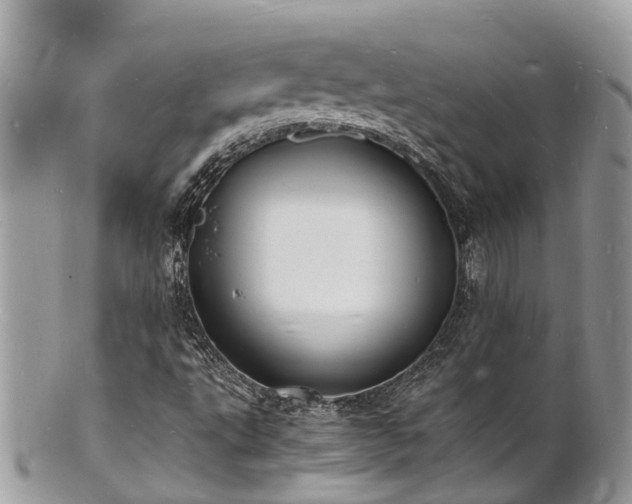 X0000100981495200807011431