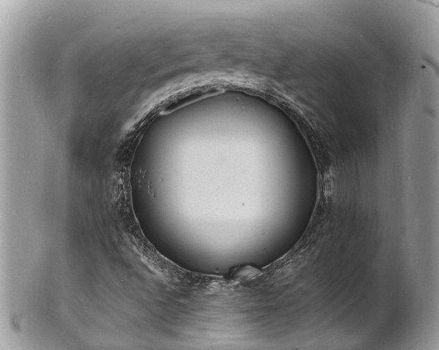 X0000100981496200807011431