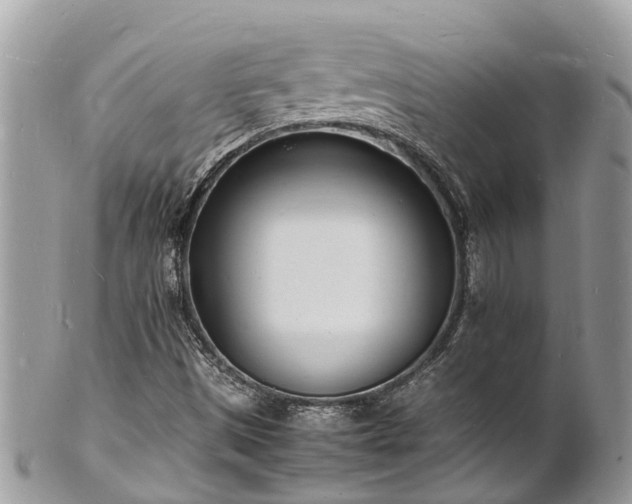 X0000100981497200807011431