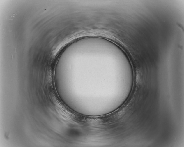 X0000100981498200807011431