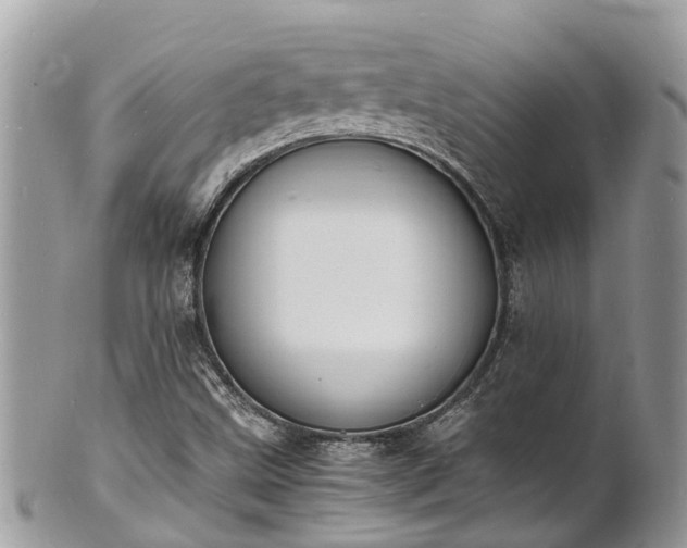 X0000100981499200807011431