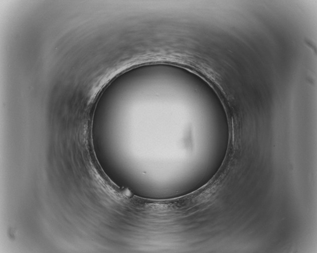 X0000100981500200807011431