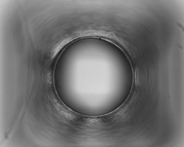 X0000100981501200807011431