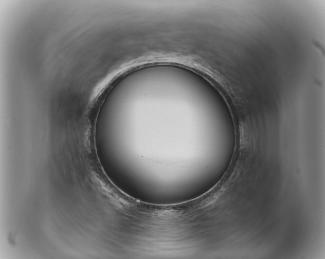 X0000100981502200807011431