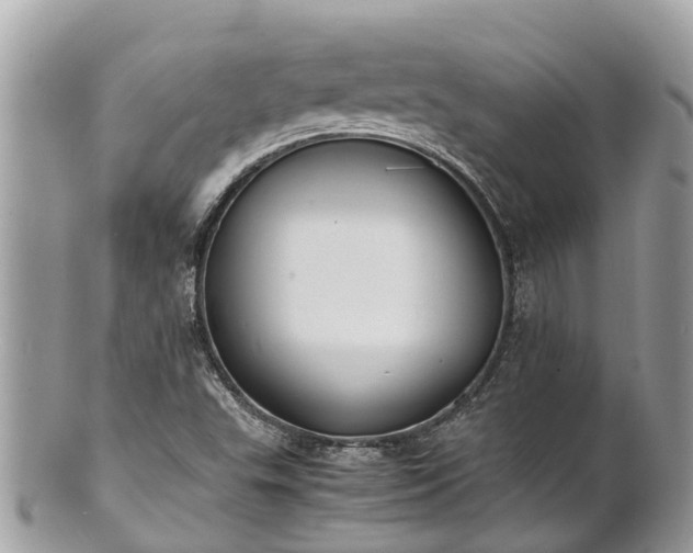 X0000100981503200807011431