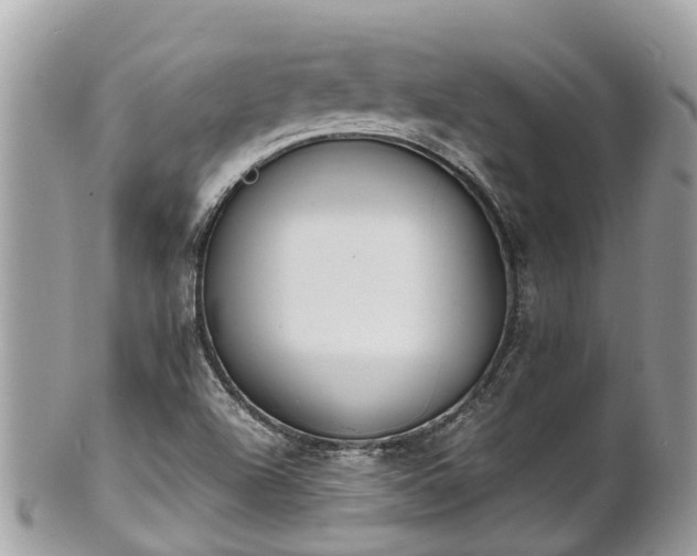 X0000100981504200807011431