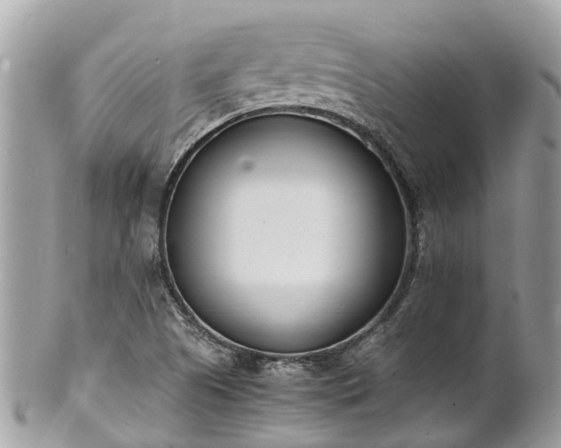 X0000100981505200807011431