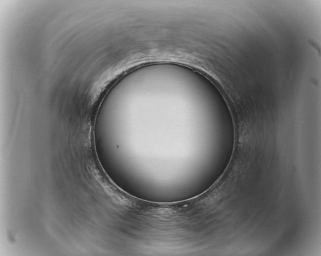 X0000100981507200807011431