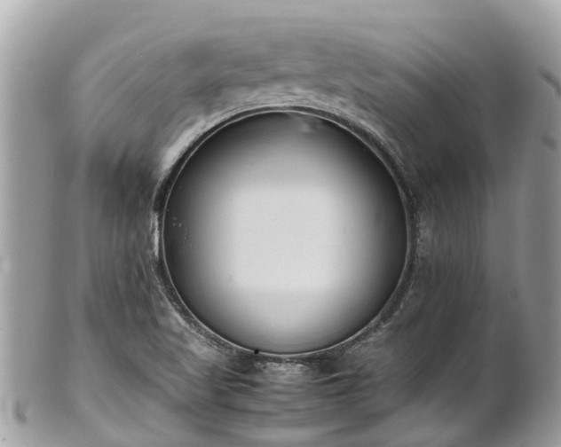 X0000100981509200807011431