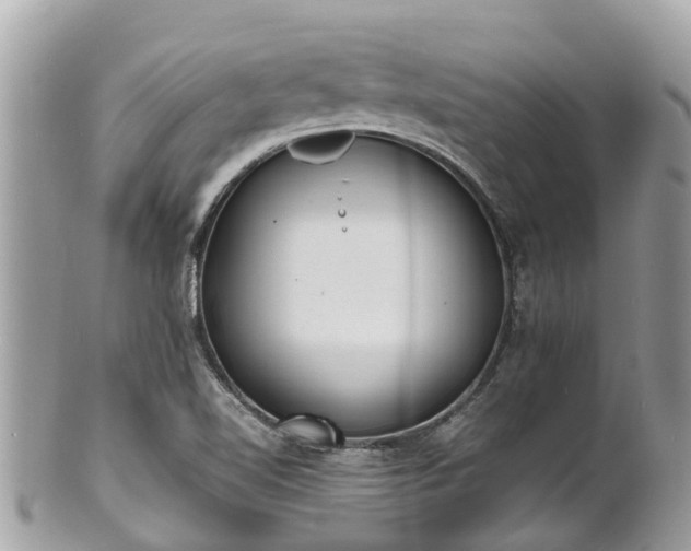 X0000100981510200807011431