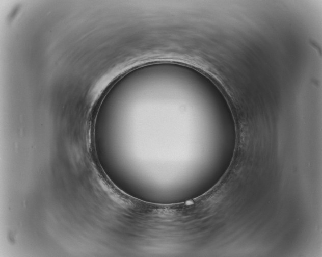 X0000100981511200807011431