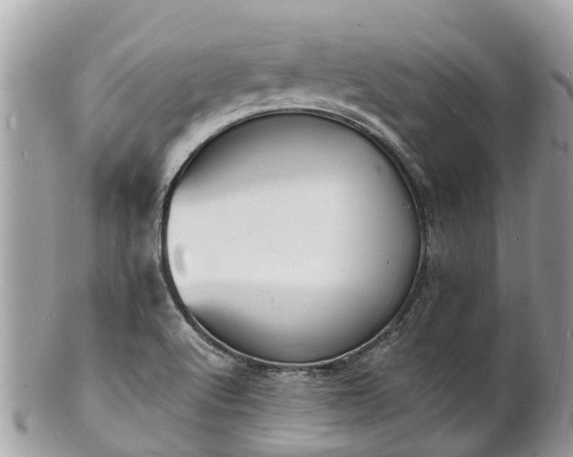 X0000100981512200807011431