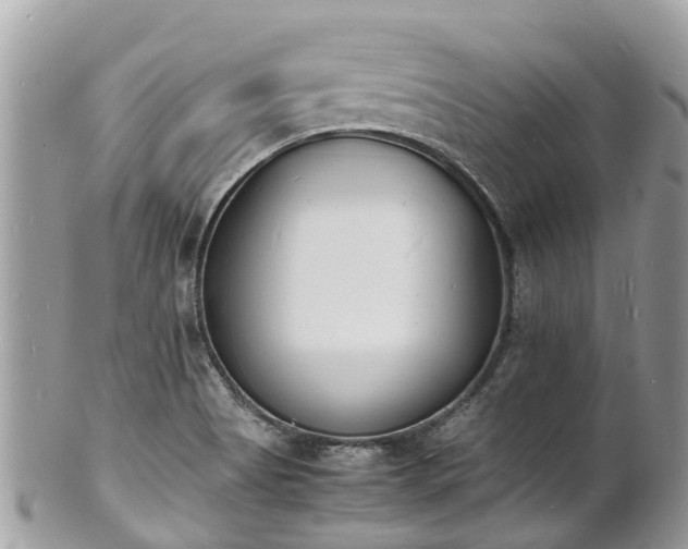 X0000100981513200807011431