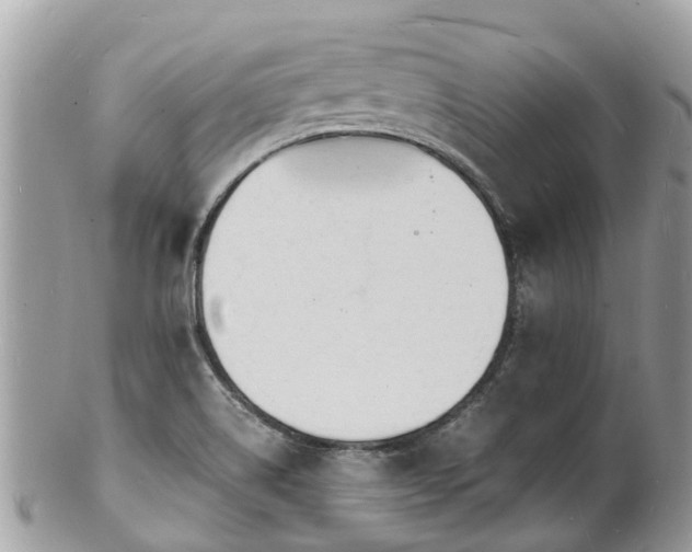 X0000100981514200807011431