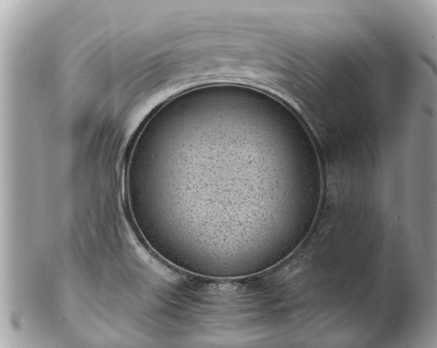 X0000100981515200807011432