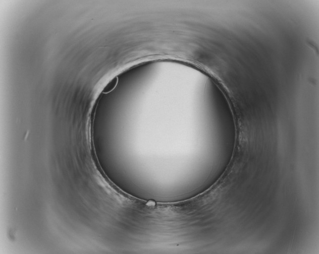 X0000100981516200807011432