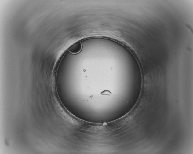 X0000100981517200807011432