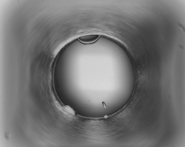 X0000100981518200807011432