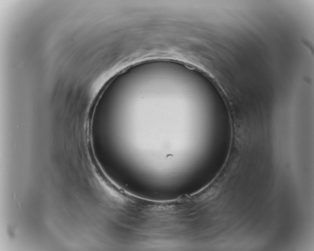 X0000100981519200807011432