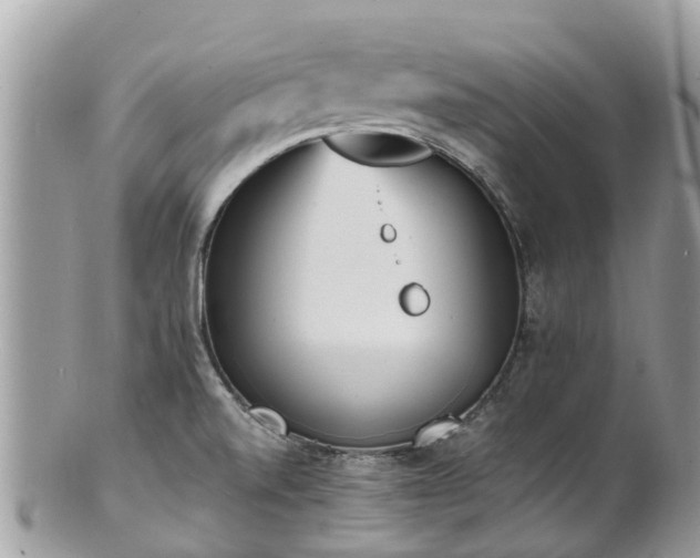 X0000100981520200807011432