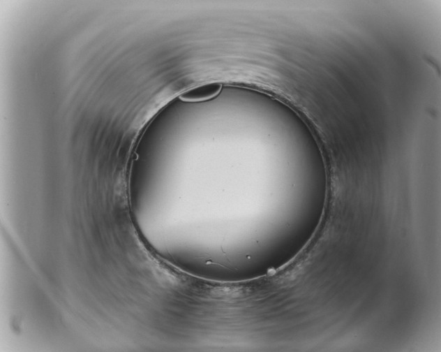 X0000100981521200807011432