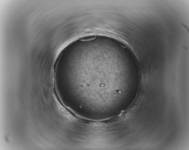 X0000100981522200807011432