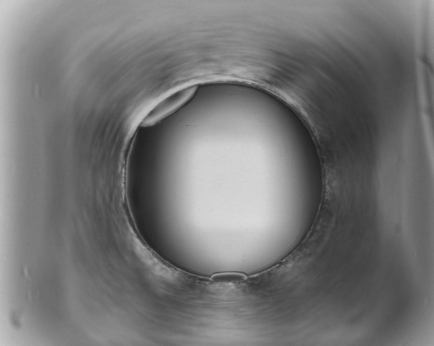 X0000100981524200807011432