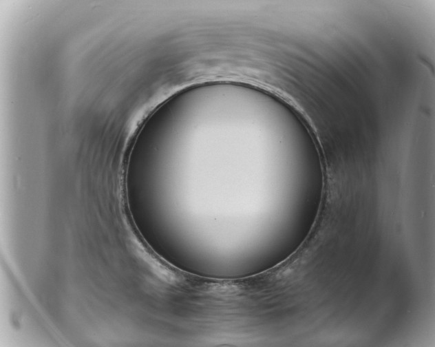 X0000100981525200807011432