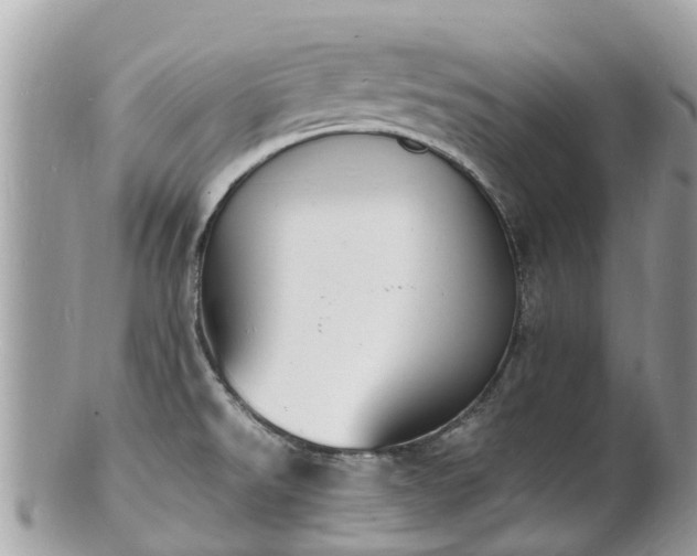 X0000100981526200807011432