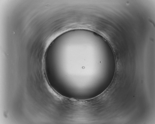 X0000100981528200807011432