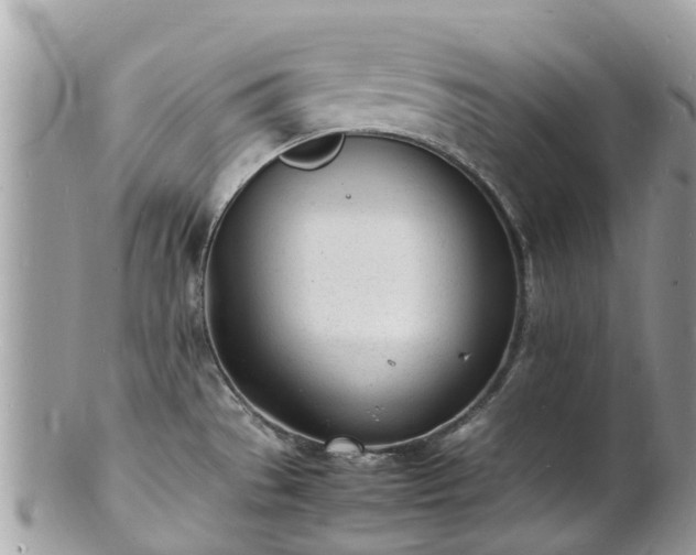 X0000100981529200807011432