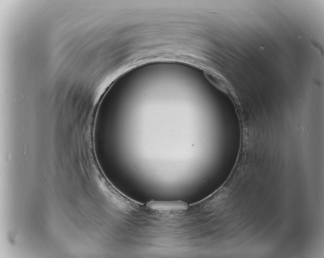 X0000100981530200807011432