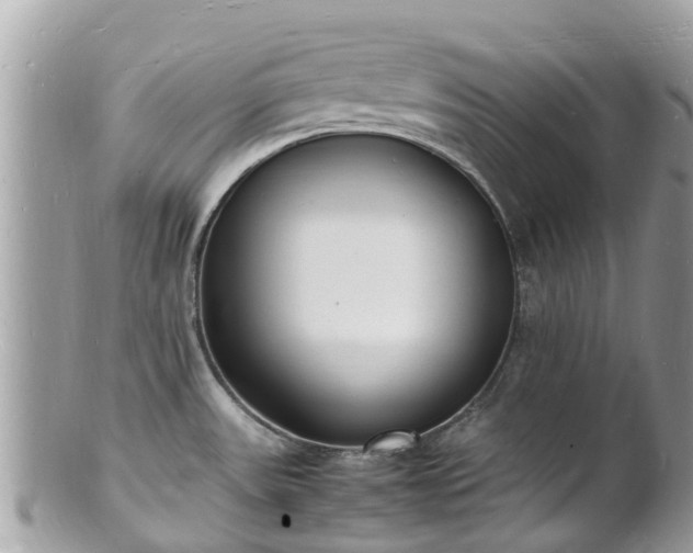 X0000100981531200807011432