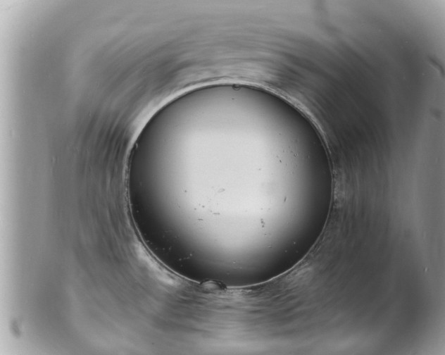 X0000100981532200807011432