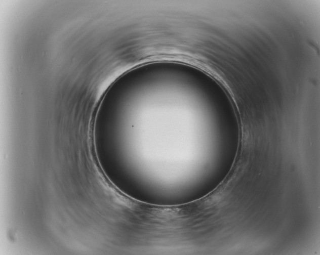 X0000100981533200807011432