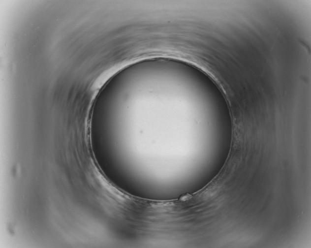 X0000100981535200807011432