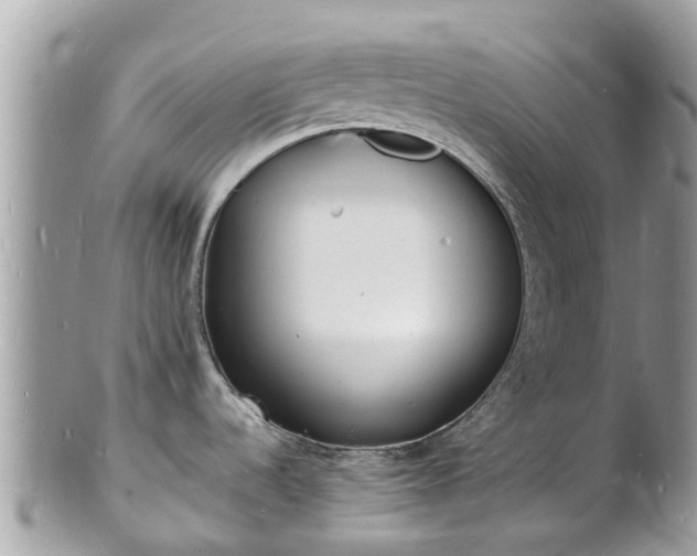 X0000100981536200807011432