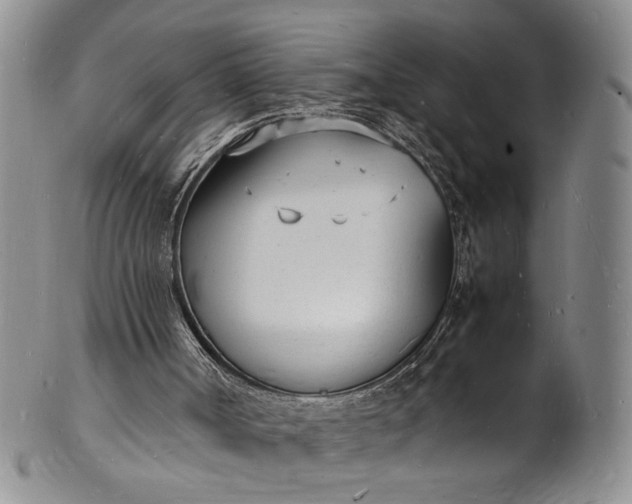 X0000100980002200807081255