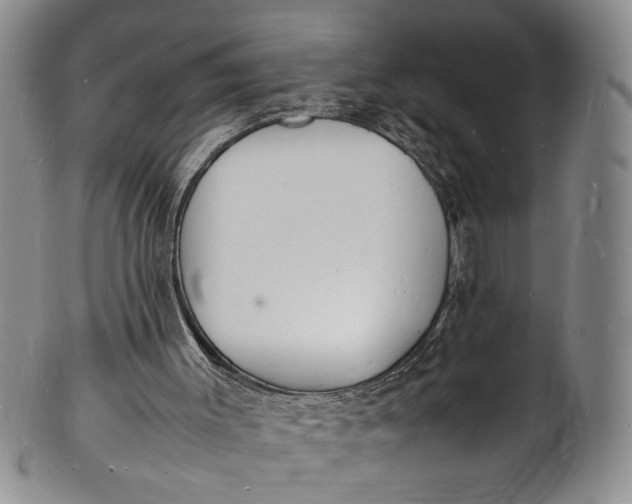 X0000100980003200807081255