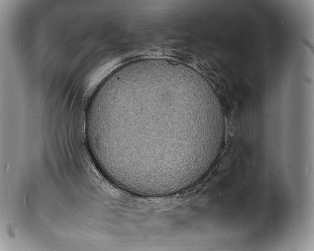 X0000100980005200807081255