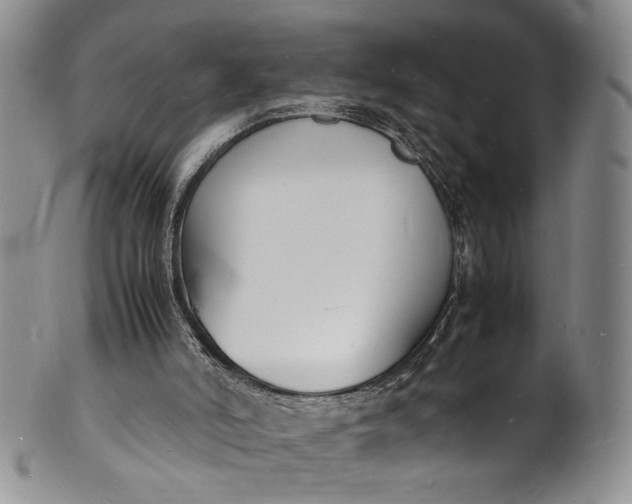 X0000100980006200807081255