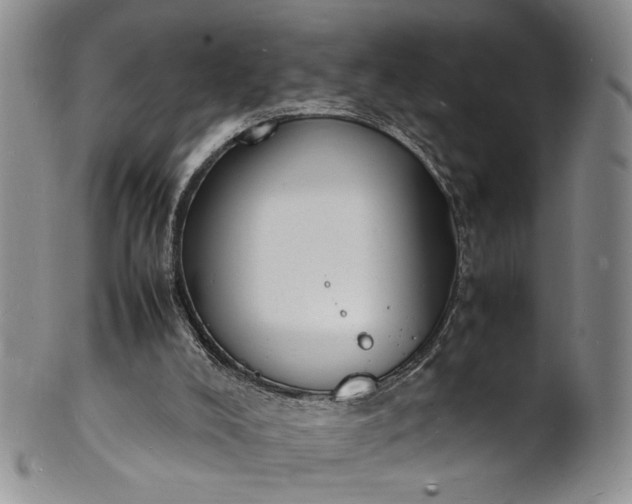 X0000100980008200807081255