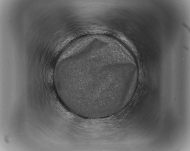 X0000100980009200807081255