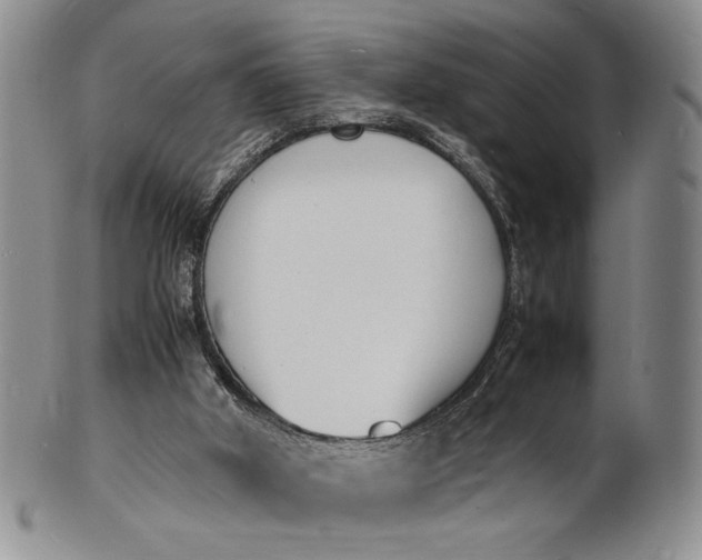 X0000100980010200807081255