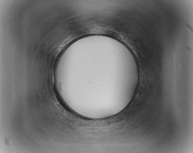 X0000100980011200807081255