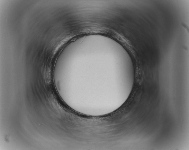 X0000100980012200807081255