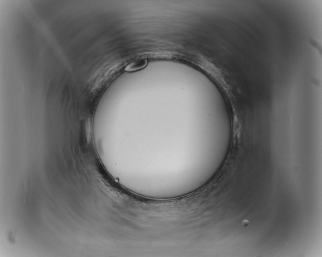 X0000100980013200807081255