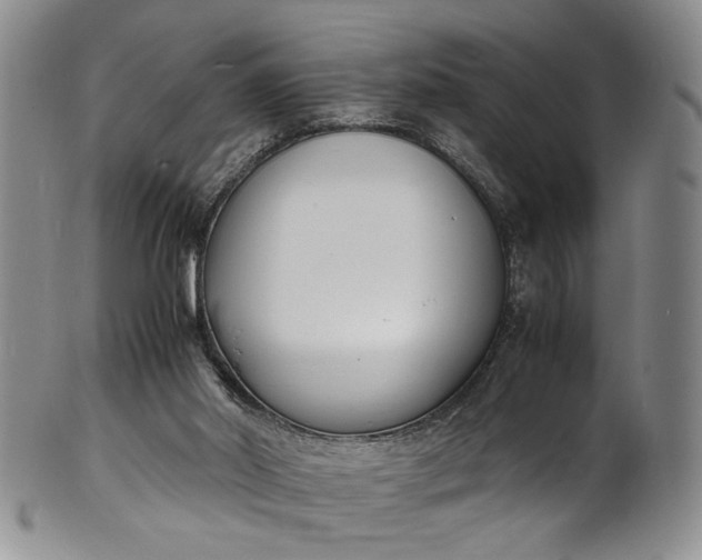 X0000100980014200807081254